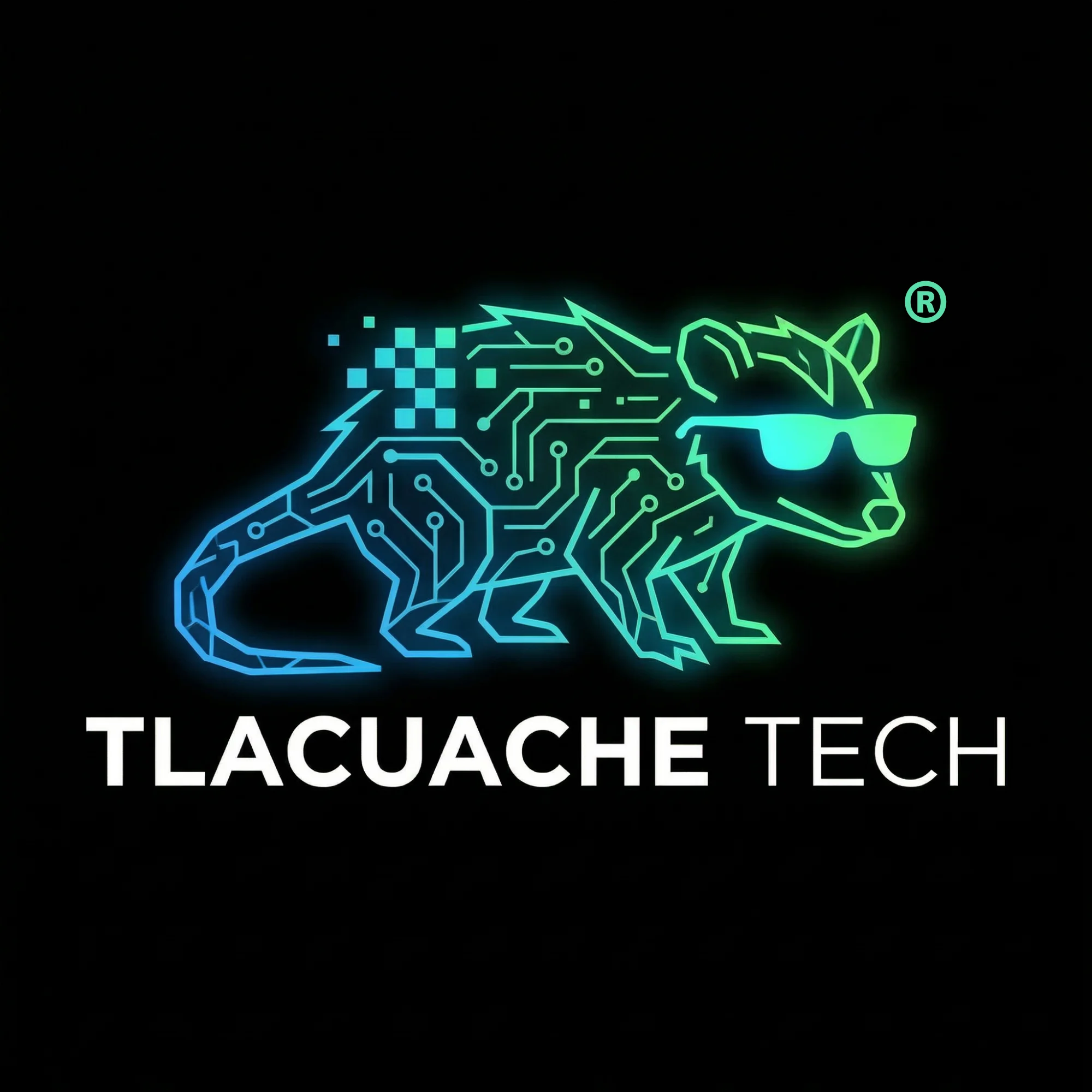 tlacuache web seo gdl